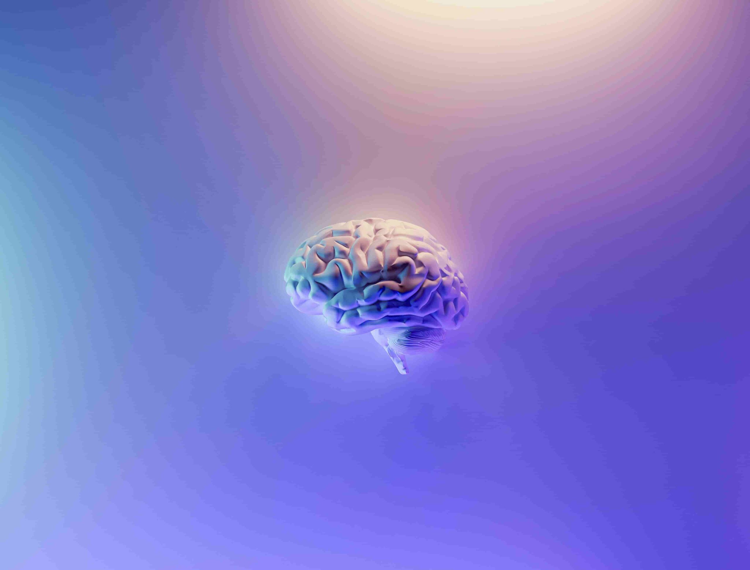 Duelo y cerebro